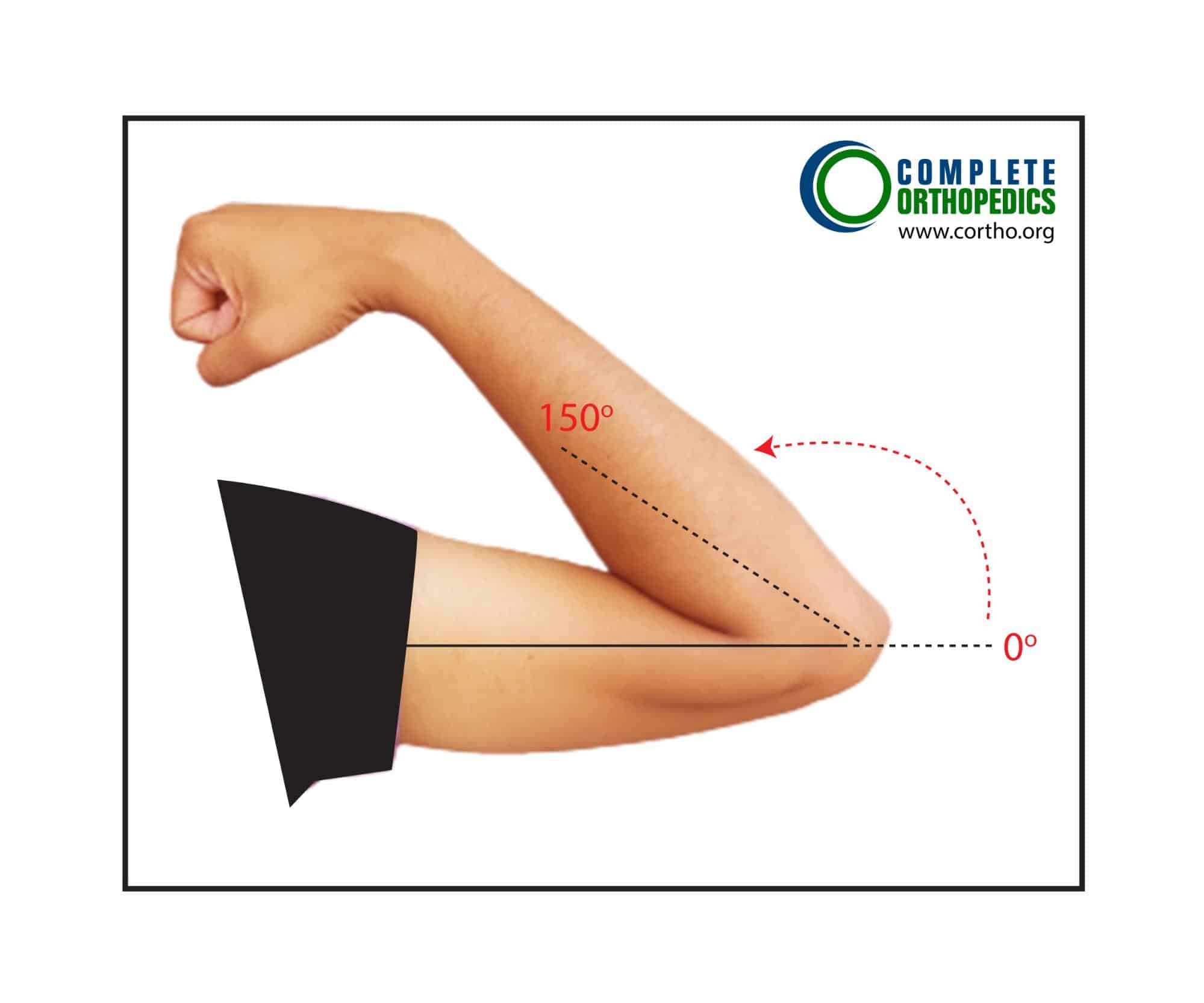 Figure: Elbow Flexion Figure: Elbow Flexion