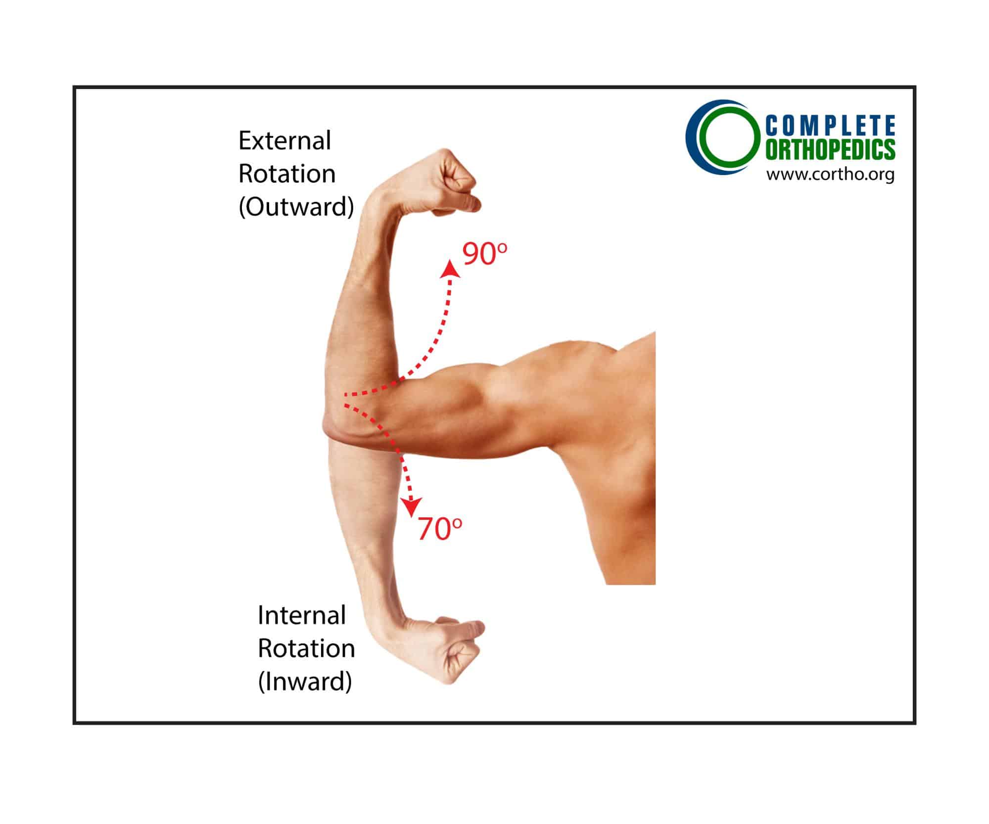Figure: Shoulder External (Up) and Internal (Down) Rotation