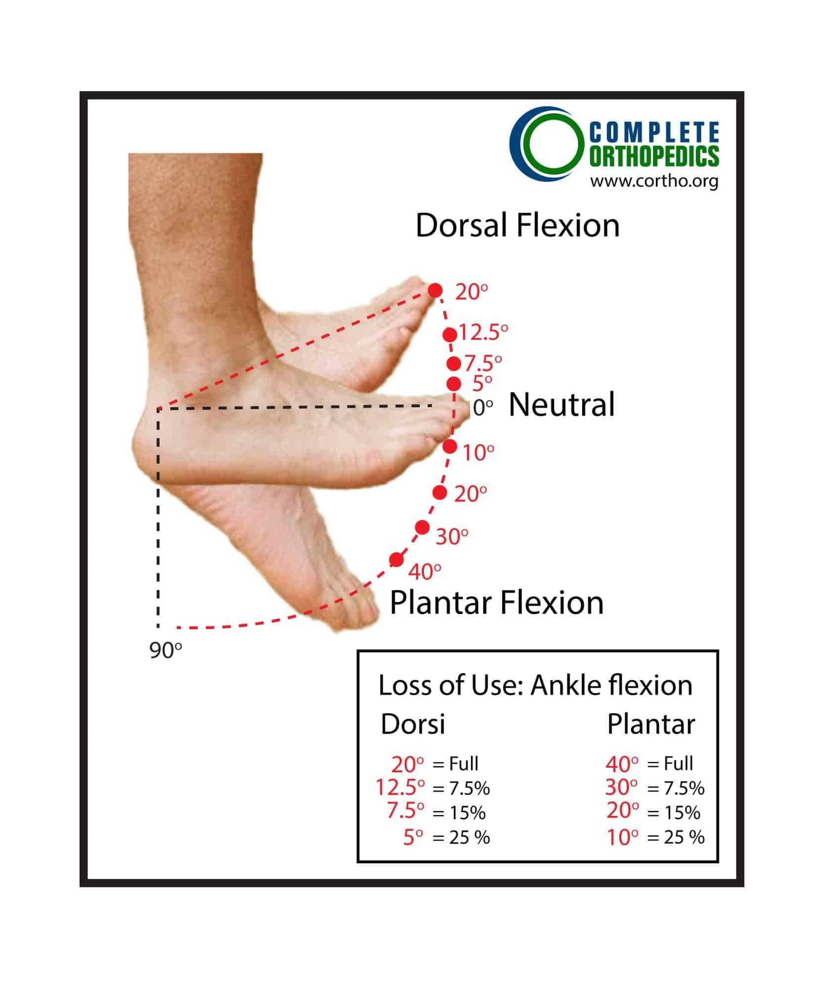 Figure: Percent Loss of Use of the Foot: Flexion Deficits of the Ankle Figure: Percent Loss of Use of the Foot: Flexion Deficits of the Ankle