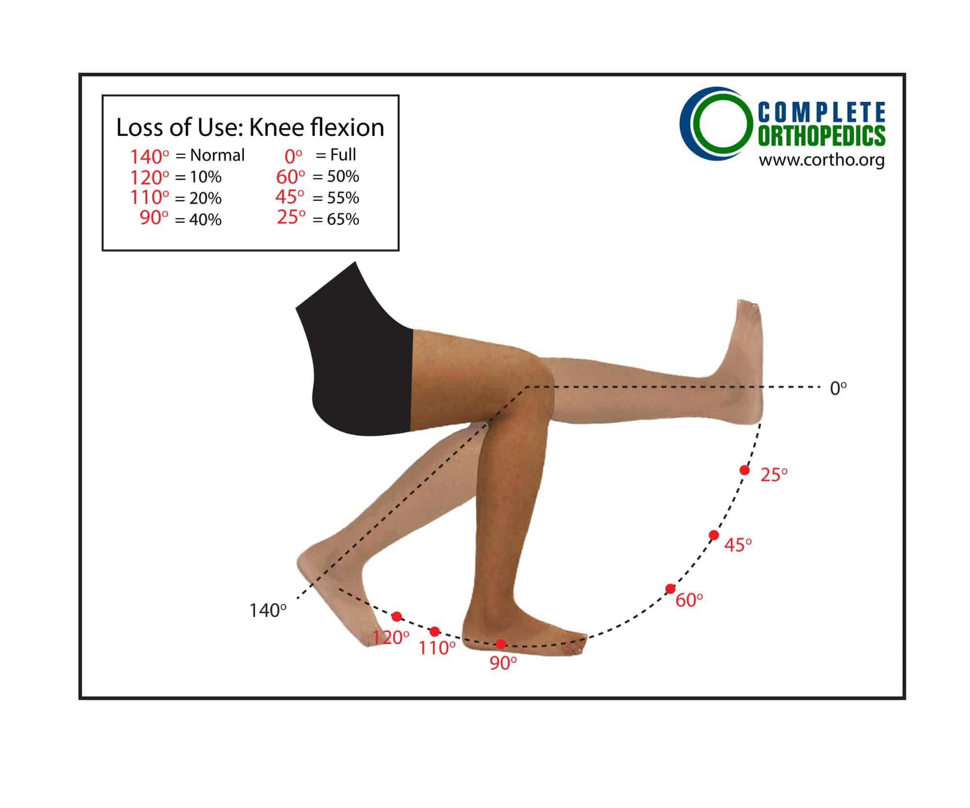 Figure: Knee Flexion