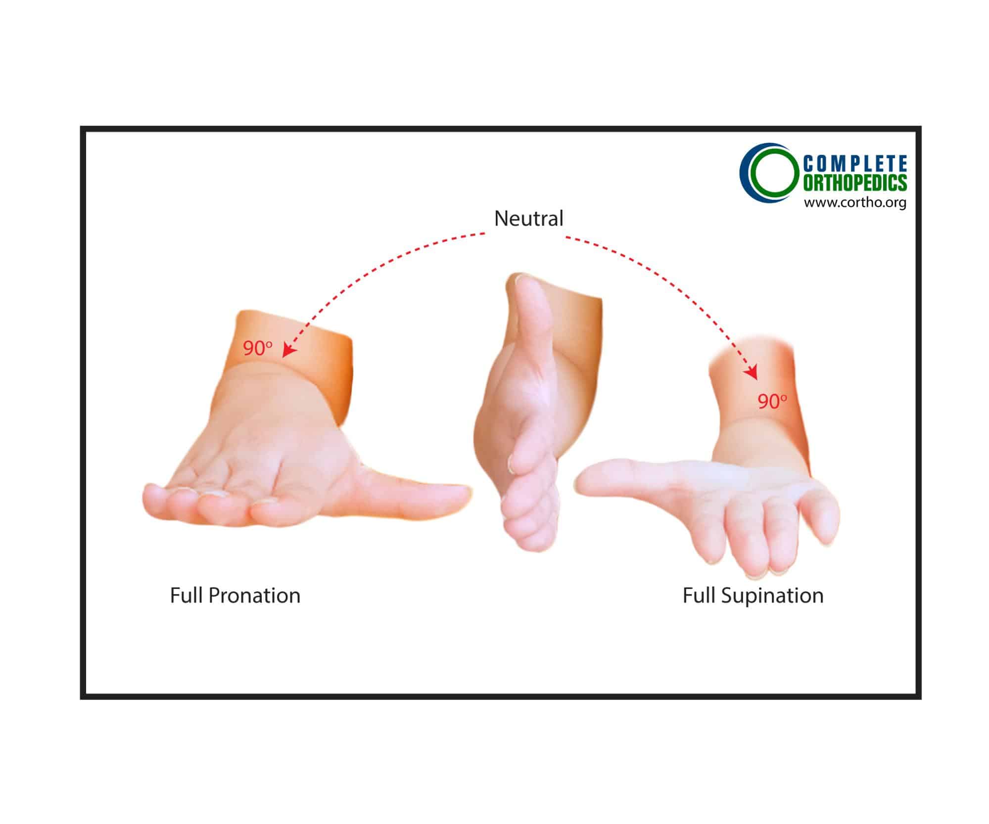 Figure: Pronation: Supination of the wrist, measured by flexing the elbow to 90 degrees and adducting the arm along the chest wall.