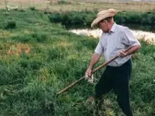 Enfermedad ósea metabólica