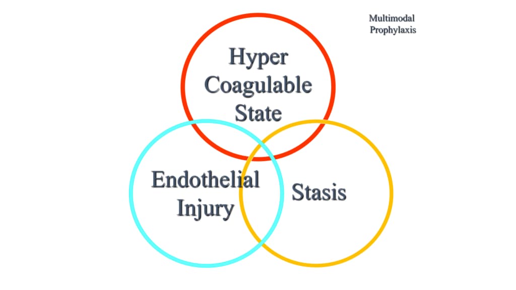 Multimodal Prophylaxis Venn Diagram Multimodal Prophylaxis Venn Diagram